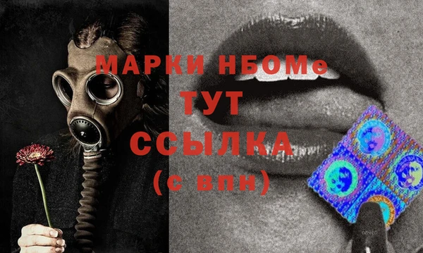 прущие грибы Карталы