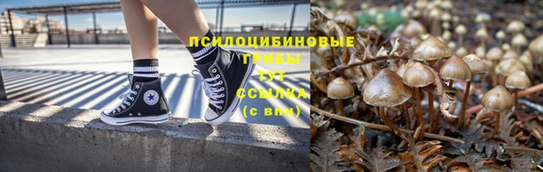 прущие грибы Карталы