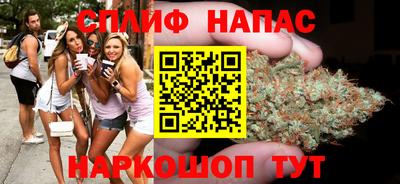 сатива Гай