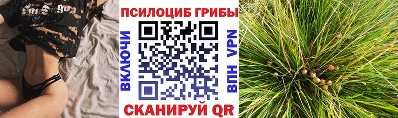 продажа наркотиков  Нерюнгри  Галлюциногенные грибы GOLDEN TEACHER 