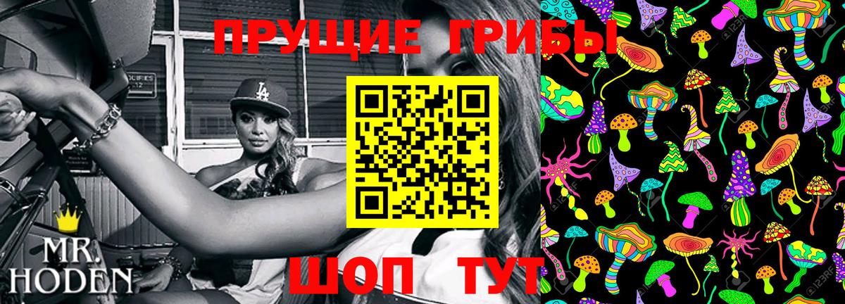 Нерюнгри  Галлюциногенные грибы мухоморы  Вход с VPN  Галлюциногенные грибы прущие грибы 